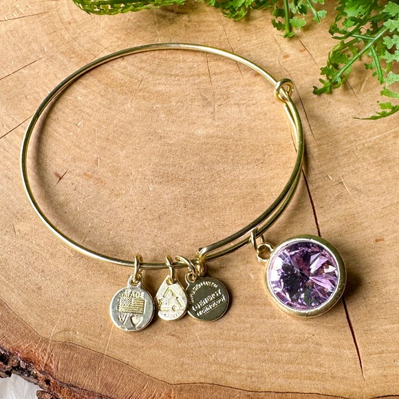 ALEX AND ANI CRYSTAL BIRTHSTONE LIGHT AMETHYST PURPLE JUNE GOLD CHARM BRACELET - Picture 4 of 4